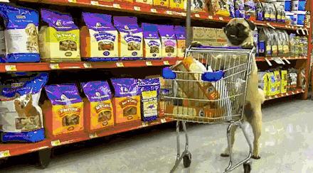 潮人好看衣服店铺推荐,现在潮人去哪里买衣服便宜