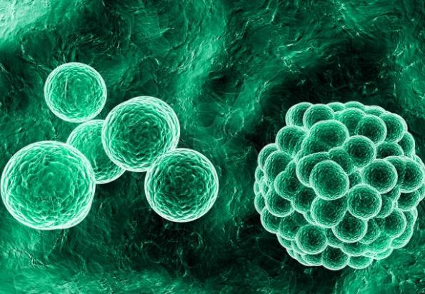 160万人，千亿级产业，每分钟有人上当，也许下一个就是你！