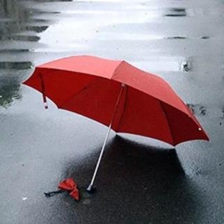 用了这把伞才知道，原来伞的细节可以做成这样