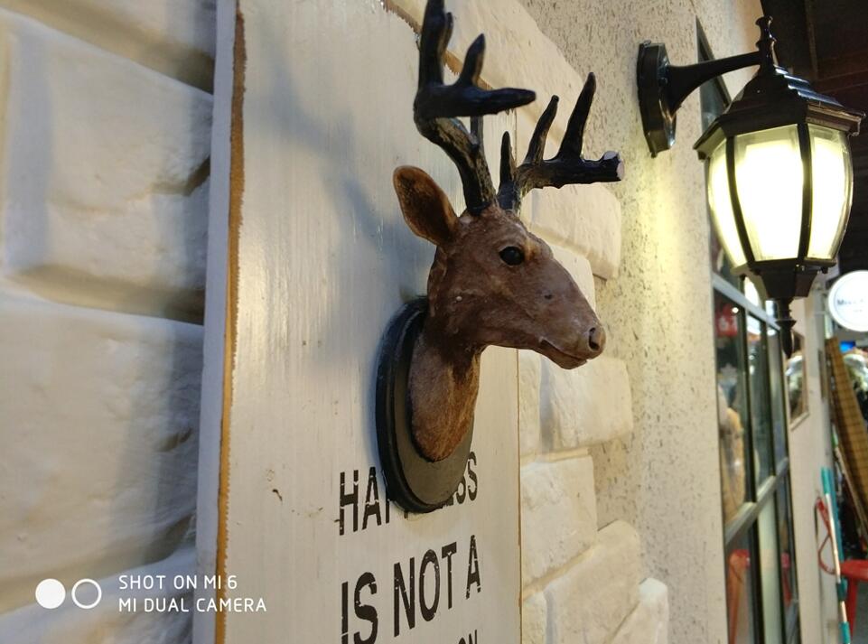 小米6拍照对比,小米6拍照水平