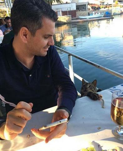 被哈士奇带大的狼，丧失狼族尊严，在家里经常被猫咪暴打