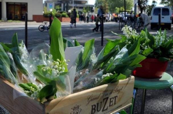 法国0距离｜深谷幽兰：一个属于花朵的法国五一节