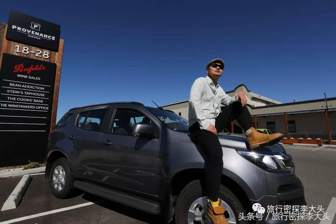 中国哪里可以抱考拉,全球哪里可以抱考拉