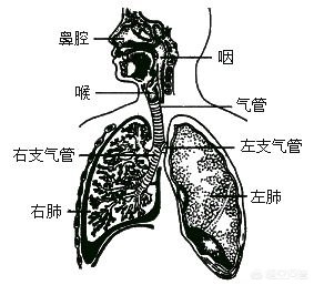 张医生谈癌症治疗,张医生讲疾病