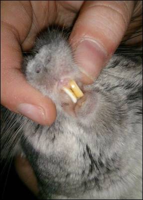 想要属于自己的东西为什么,想要属于自己的东西