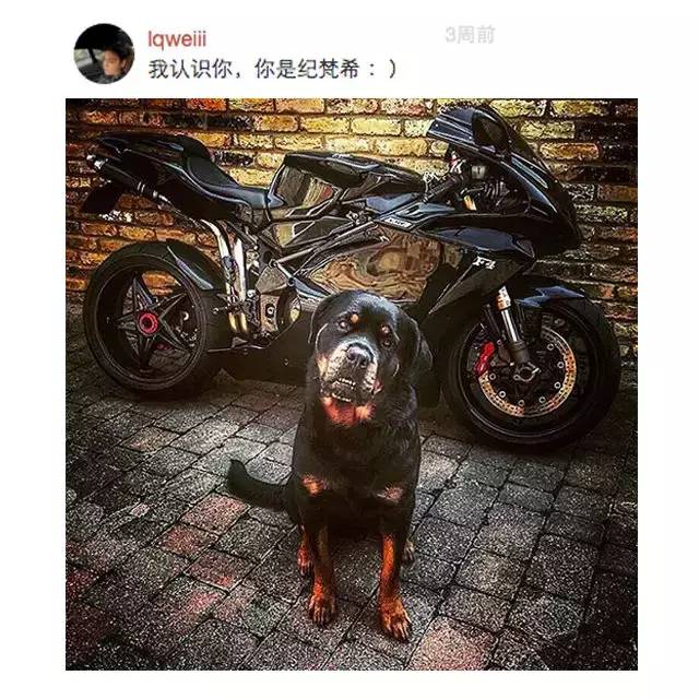 叫你装逼叫你飞！朋友圈伪潮人的鉴别*法大**！