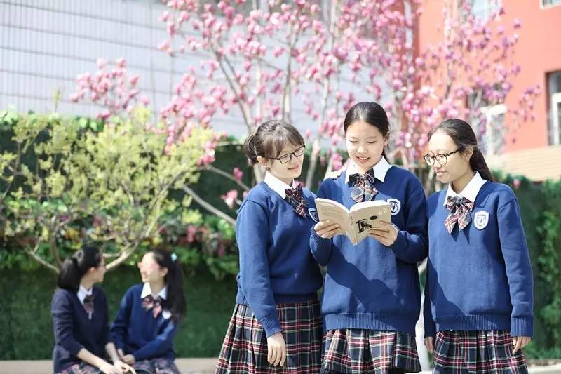 新优质均衡学校,再添优质学校