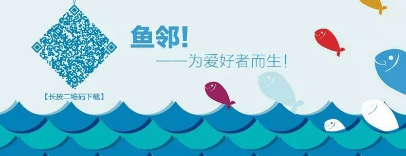 b级过背金龙一般价格多少,顶级蓝底过背金龙欣赏