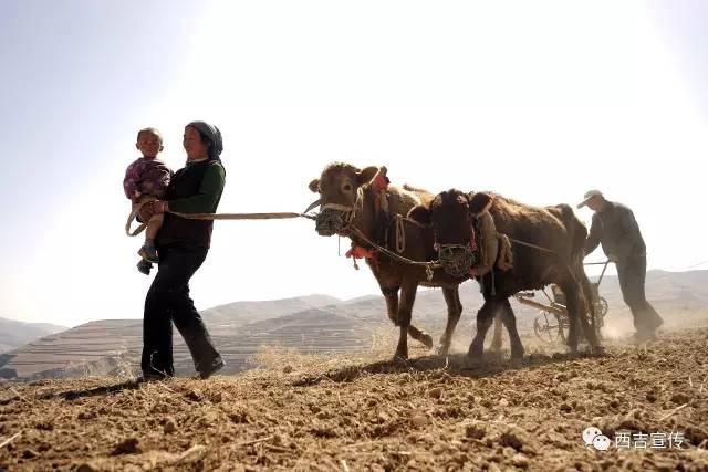 探寻劳动之美,诠释劳动之美