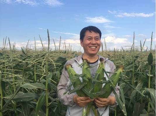 先正达24大蔬菜新品种,先正达蔬菜新品种