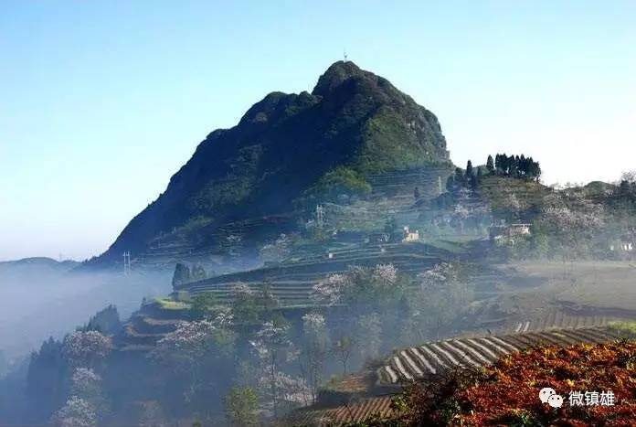 我是镇雄人歌曲原唱,我是镇雄人词曲