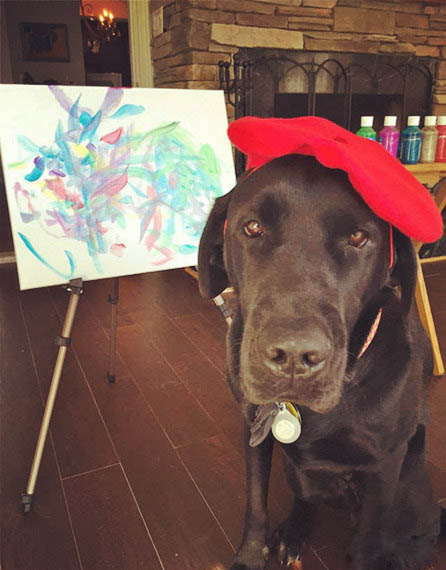 汪星人会作画 (汪星人的画作)