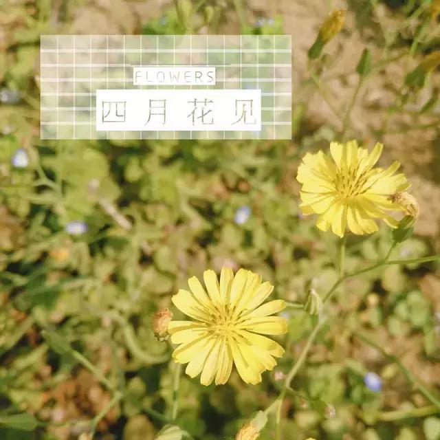 知道自己不够好看,不知道自己拍什么作品好