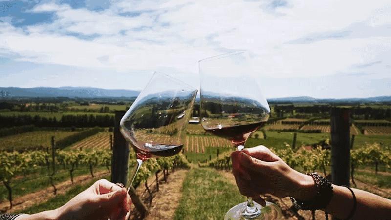 新西兰十大手信,新西兰手信必买清单