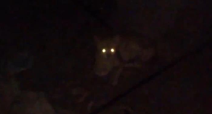 光是波，还是粒子？它是瞬间的，还是有某个速度？