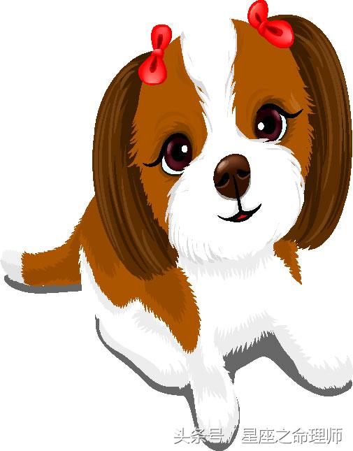 1970年属狗女在2022年感情,测1970属狗的人在2022的财运如何