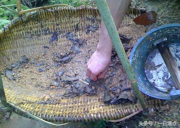 农村小时候溪边的鱼,小时候农村河里的鱼