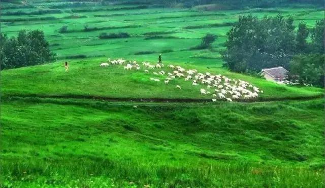 不花一分钱游遍中国,南京六个小众景点