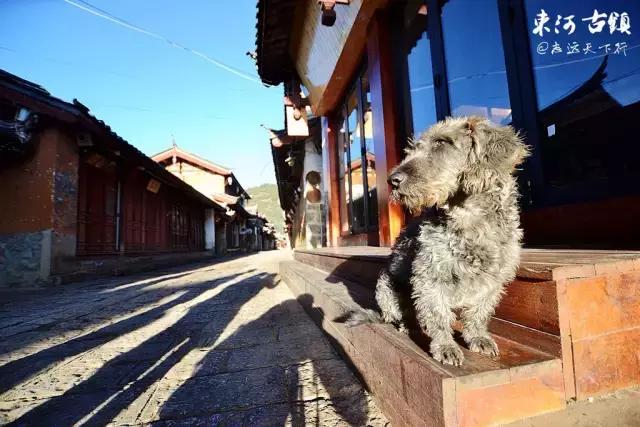 推荐一个好地方丽江古城,丽江古城最值得去的古镇