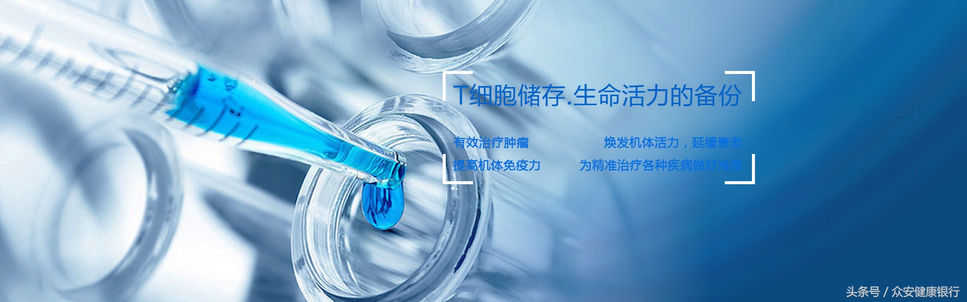 众安健康银行：多篇文章解读近年来疱疹病毒领域重要研究成果！