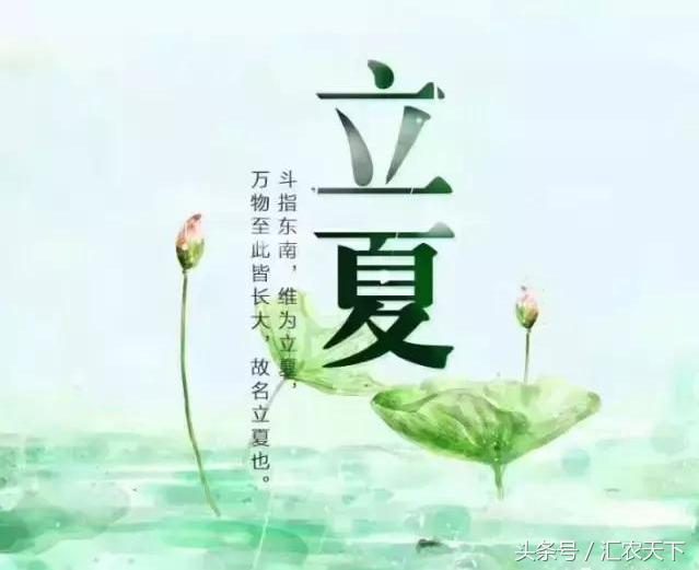 夏季苗木的养护与管理,立夏后苗木养护