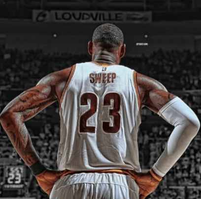 骑士夺冠有多难,骑士夺冠骑士球迷反应