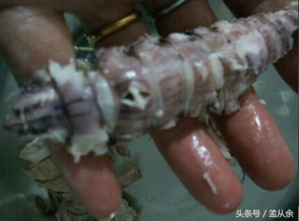 煮几分钟的爬虾最好剥,剥爬虾的正确方法视频
