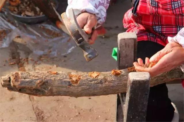 鍥涘窛閫氭睙绗竴缇庝汉,閫氭睙绗竴缇庝汉鏄皝