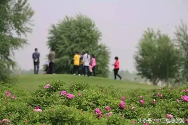 金沙岛旅游门票,周末福利大放送千万别错过