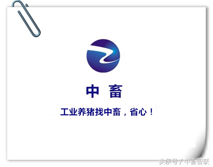 水土不服为什么要吃土,水土不服的猪