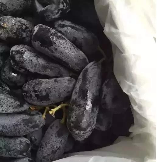 澳洲金手指黑提功效,澳洲金手指无籽黑提