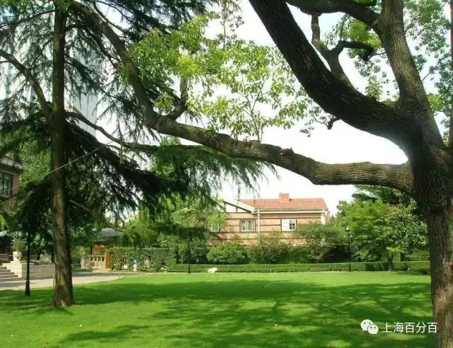 上海最美地方视频,上海最美的地方航拍