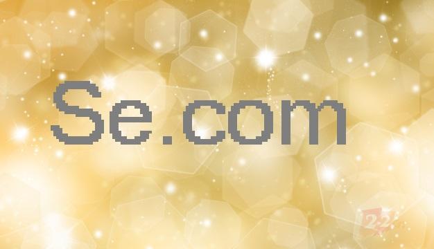 卖完二字母AK.com，狗爹又卖了极品网址Se.com？