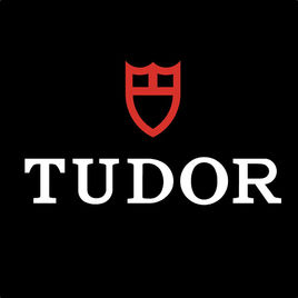 月入两万适合什么牌子手表,最适合女士的手表品牌