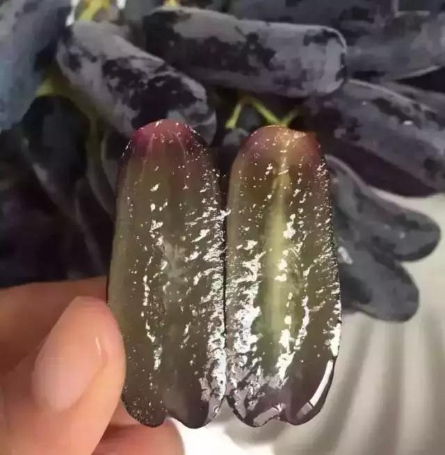 澳洲金手指黑提功效,澳洲金手指无籽黑提