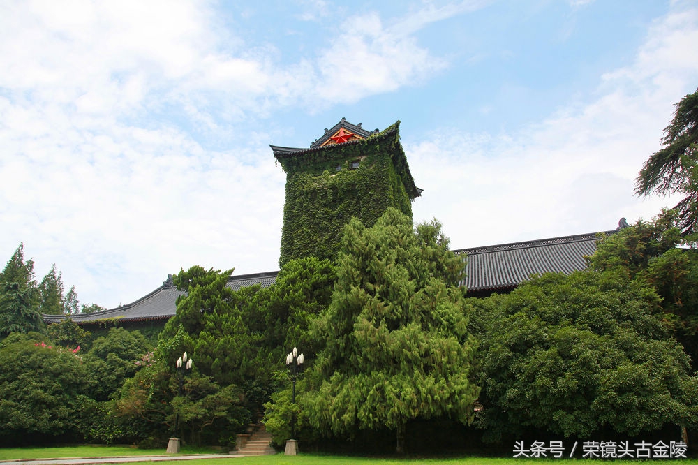 南京的绿湖,南京的月色美到令人窒息