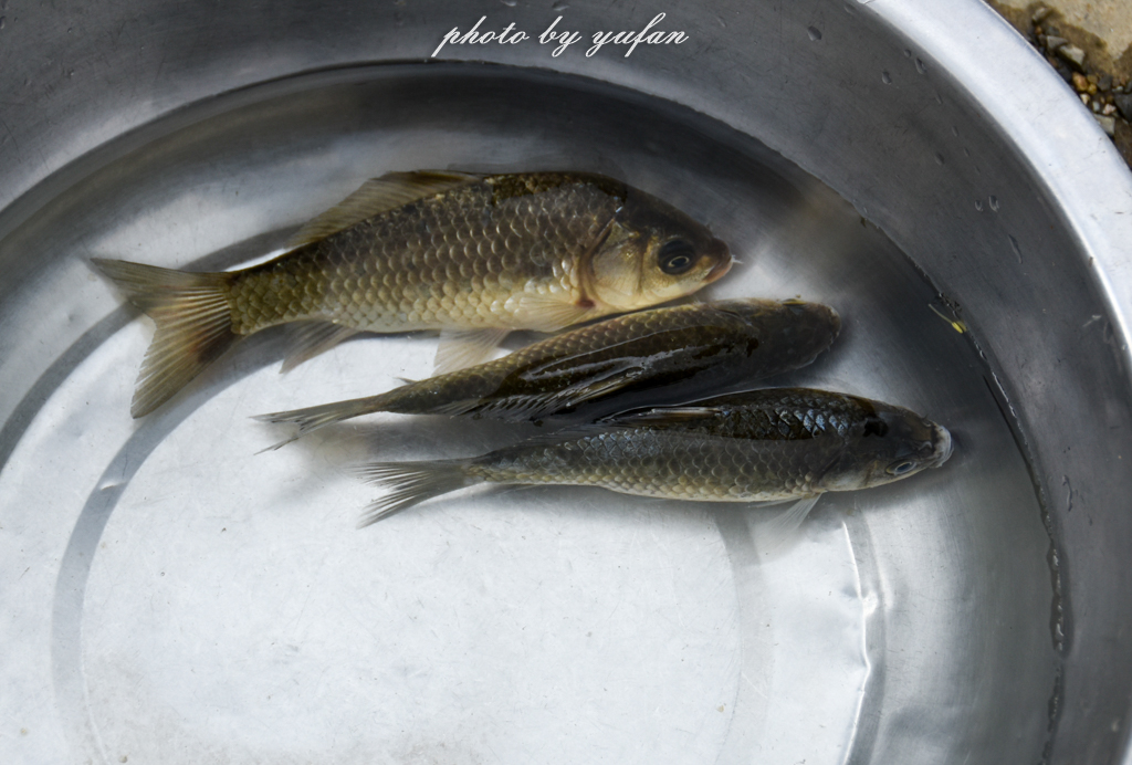 中国最著名的几大天池,中国最深的湖长白山天池