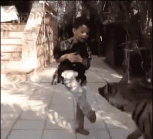 图文笑话：老爸，咱家里遭贼了，我这几天靠捡破烂生活的