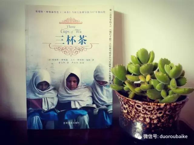 原来多肉与书更配哦！文艺范走起！