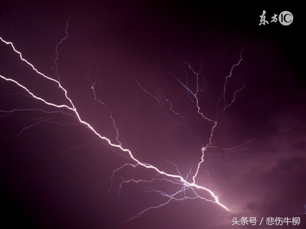 小儿无辜受雷劈，众人皆言此人不善厌恶之，岂料二十年后都来巴结