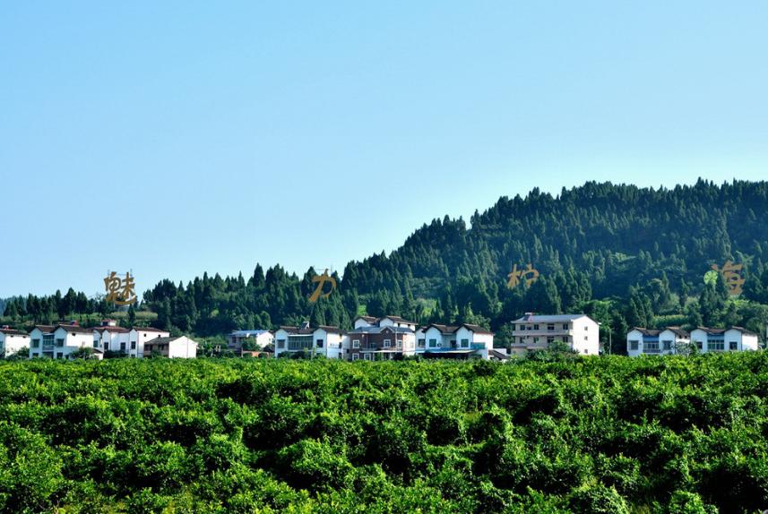 四川5个人口大县，两座位于资阳，第一是仁寿