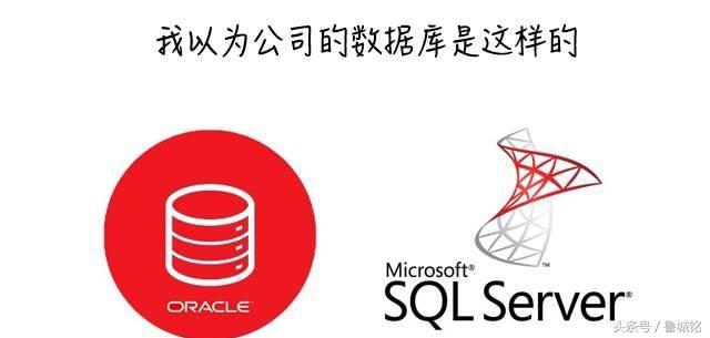 网络管理员常见的问题,网络管理员的工作好难找