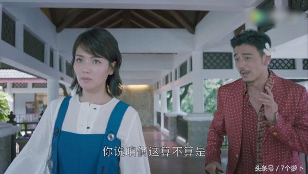 小包总求投靠求收留,欢乐颂小包总求投靠第几集