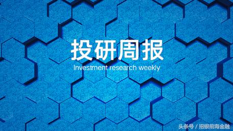 中欧金融科技有限公司,研报和调研有什么不同