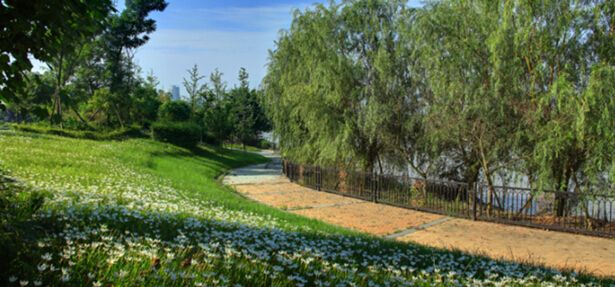 北岛说丨日渐消失的河畔生活，城北给你！