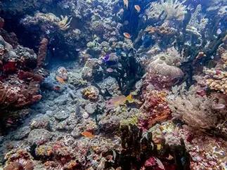 走走停停走和停都重要,走走停停边走边停