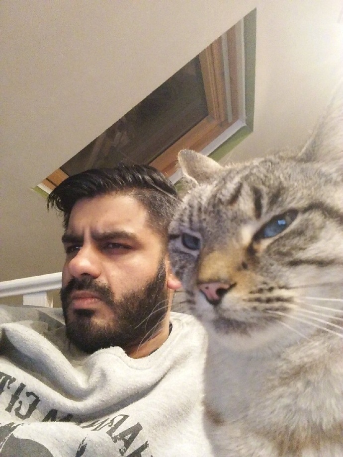 带来幸运的招财小黑猫,一只可以带来好运的猫