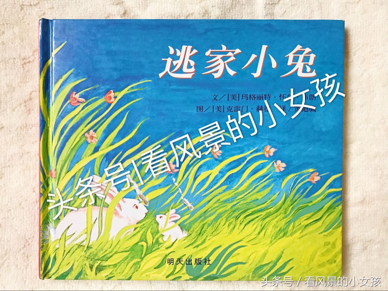 把这些绘本当”二手货“卖掉？不要跟我开这种玩笑我心室受不了