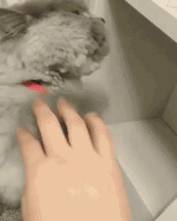 商场见到俊男靓女,商场看到漂亮的女孩子