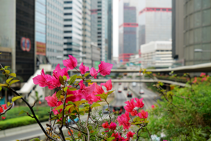 卷福为之神伤的中国密码，你可以在香港茶餐厅中解密